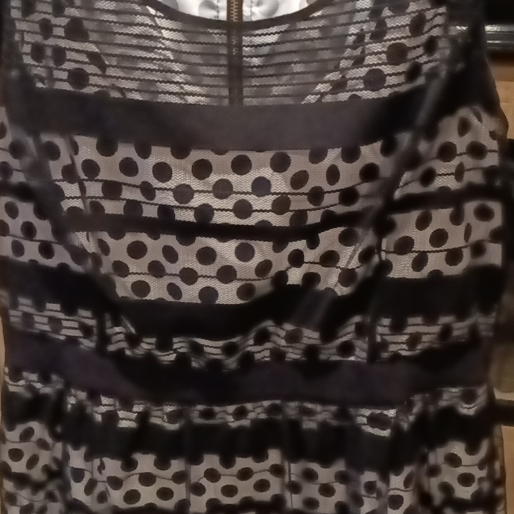 FINAL PRICE NWOT Jessica Simpson black/ white sheer polkadot dress w 20" zipper - Picture 5 of 16